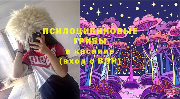 синтетический гашиш Алексеевка